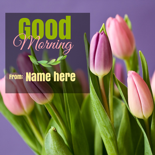 Good Morning Wishes Elegant Whatsapp DP Pics With Name