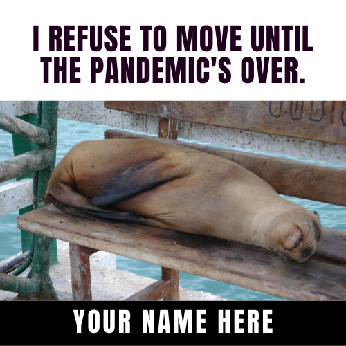 Pandemic Meme For Social Media Post With Your Name