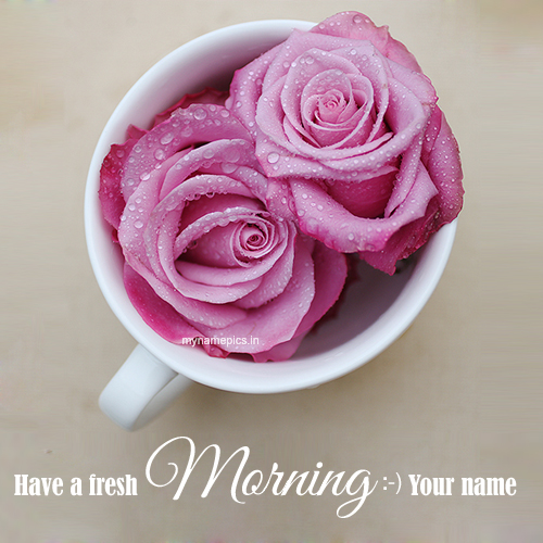 Write name on fresh morning rose profile pic