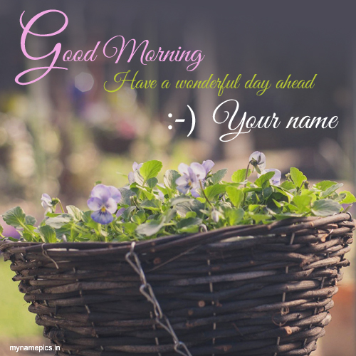 Write name on Good morning nice day profile pics